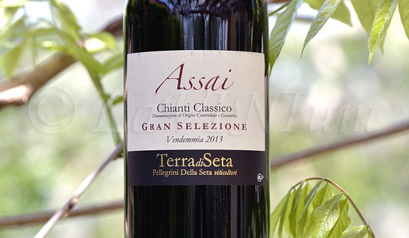 Chianti Classico Gran Selezione Assai 2013 Terra di Seta