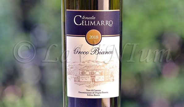 Terre di Cosenza Pollino Bianco Greco Bianco 2018 Tenuta Celimarro