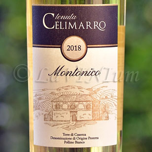 Terre di Cosenza Pollino Bianco Montonico 2018 Tenuta Celimarro