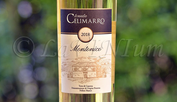 Terre di Cosenza Pollino Bianco Montonico 2018 Tenuta Celimarro