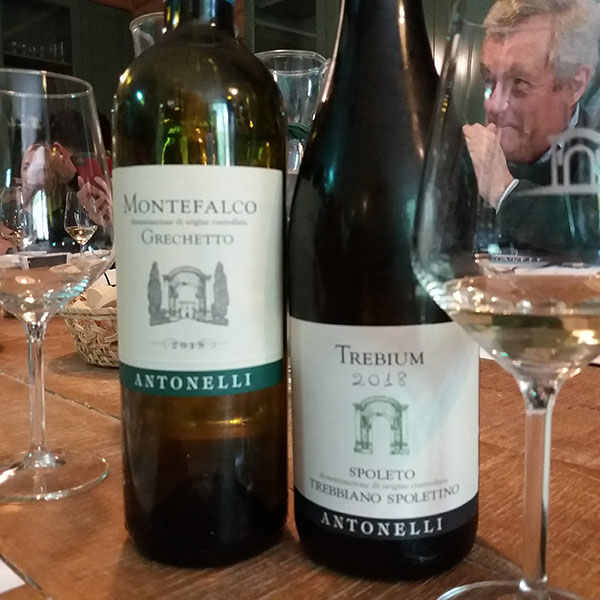 Altri vini Antonelli San Marco