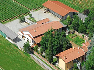 Azienda Agricola Blason