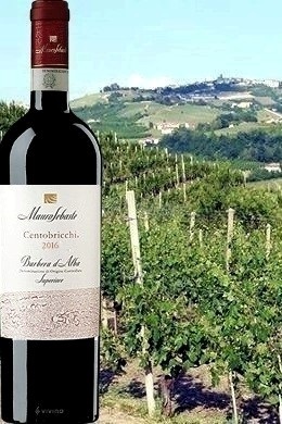 Barbera d'Alba Superiore "Centobricchi" 2016