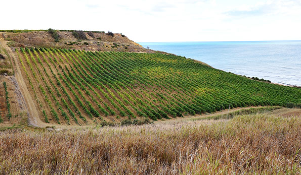 Mare e vigneti a Menfi