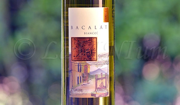 Sannio Bianco Bacalàt 2017 Antica Masseria Venditti