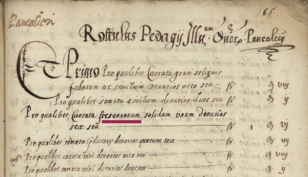 Bolla doganale di Pancalieri del 1517