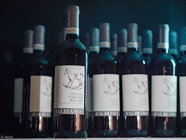 Collina Torinese Barbera