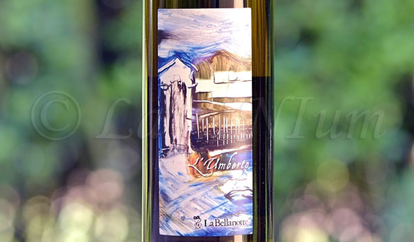 Friuli Isonzo Sauvignon L'Umberto 2018 La Bellanotte