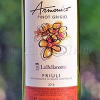 Friuli Pinot Grigio Armonico 2018 La Bellanotte