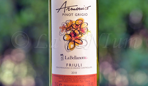 Friuli Pinot Grigio Armonico 2018 La Bellanotte