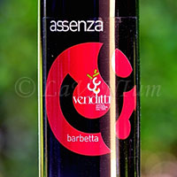 Sannio Barbera Barbetta Assenza 2017 Antica Masseria Venditti