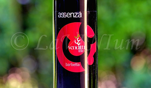 Sannio Barbera Barbetta Assenza 2017 Antica Masseria Venditti