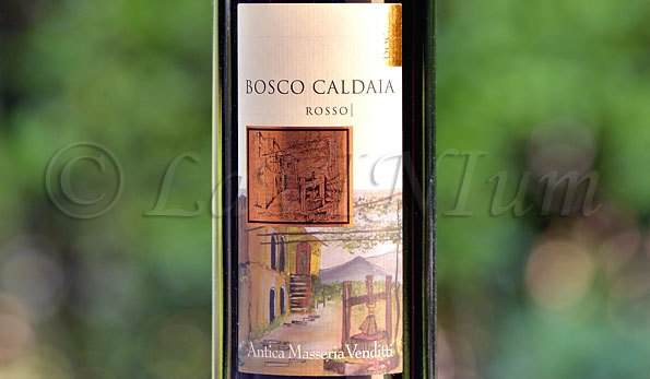 Sannio Rosso Bosco Caldaia Riserva 2011 Antica Masseria Venditti