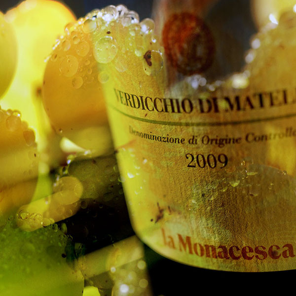 Verdicchio di Matelica 2009 La Monacesca
