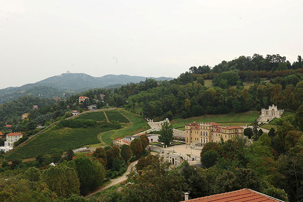 Villa della Regina con il vigneto reale
