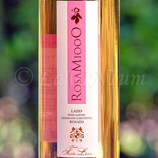 RosaMiooO Rosato 2018 Tenuta Santa Lucia