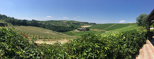 Uno scorcio del territorio del Nizza