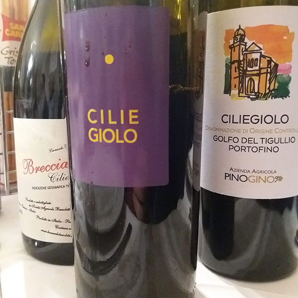 altre etichette di Ciliegiolo