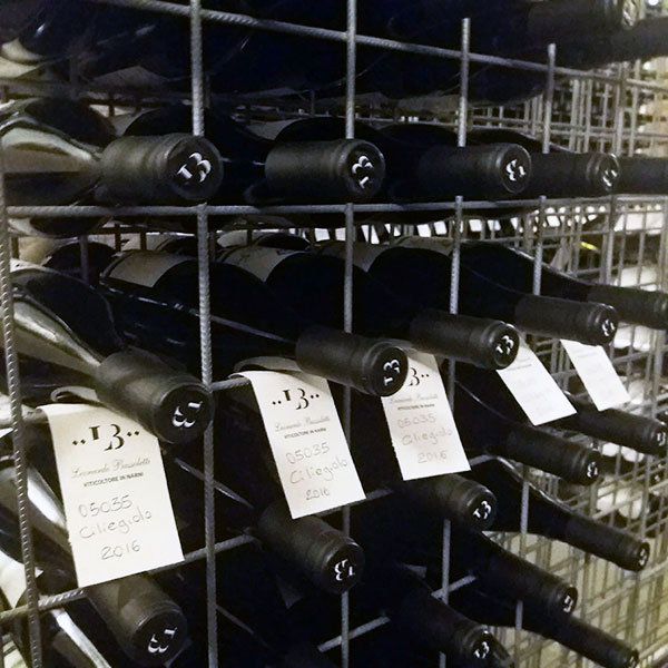 Il ciliegiolo di Leonardo Bussoletti