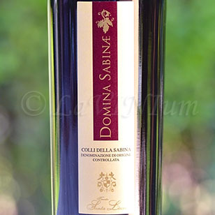 Colli della Sabina Rosso Domina Sabinae 2016 Tenuta Santa Lucia