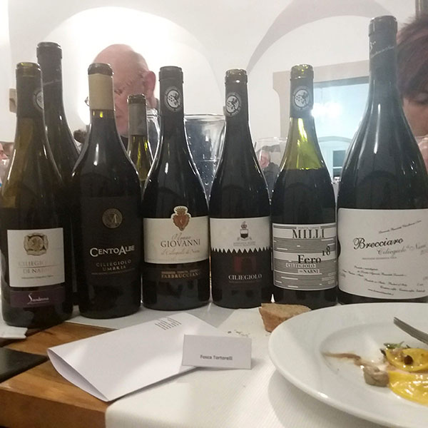 etichette di Ciliegiolo in degustazione