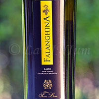 Falanghina 2018 Tenuta Santa Lucia