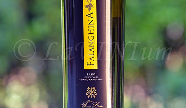 Falanghina 2018 Tenuta Santa Lucia