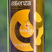 Falanghina del Sannio Assenza 2017 Antica Masseria Venditti