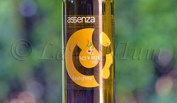 Falanghina del Sannio Assenza 2017 Antica Masseria Venditti
