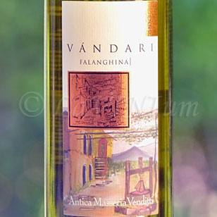 Falanghina del Sannio Vàndari 2017 Antica Masseria Venditti