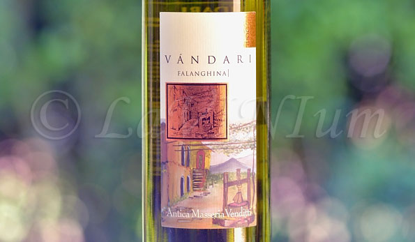 Falanghina del Sannio Vàndari 2017 Antica Masseria Venditti
