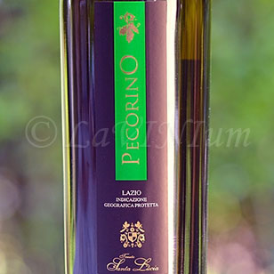 Pecorino 2018 Tenuta Santa Lucia