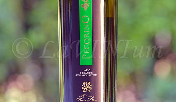 Pecorino 2018 Tenuta Santa Lucia