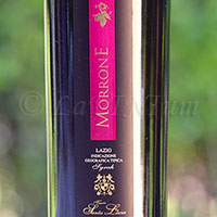 Syrah Morrone 2012 Tenuta Santa Lucia