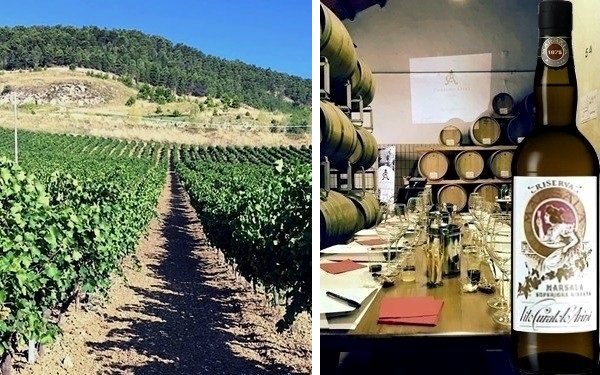 Marsala Superiore Riserva Secco Curatolo Arini