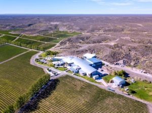 Bodega Familia Schroeder