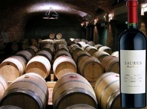 Saurus barrel fermented Malbec della Patagonia 2013 Bodega Familia Schroeder