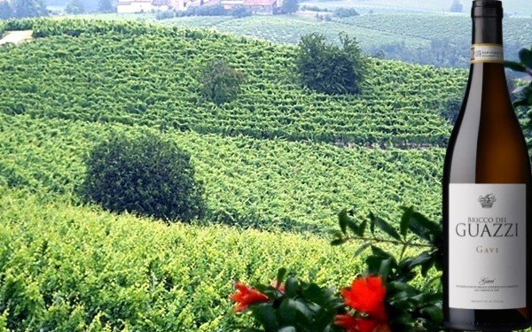 Gavi del Comune di Gavi Bricco dei Guazzi 2018 Genagricola