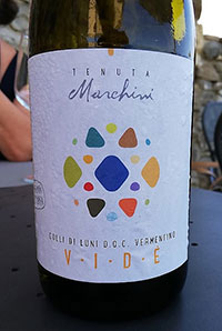 Colli di Luni Vermentino Vidè 2018 Tenuta Marchini