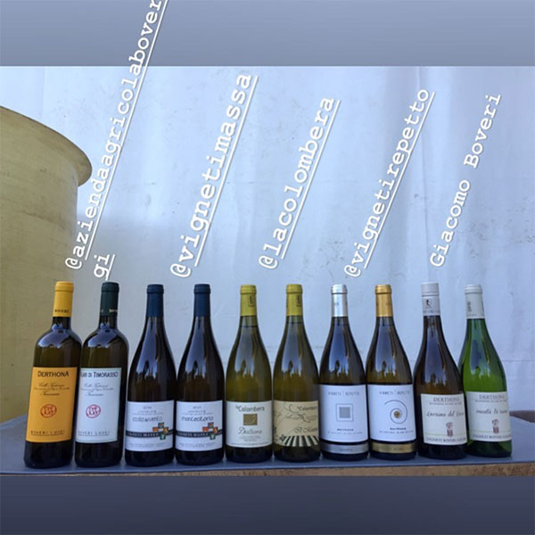 Bottiglie di alcuni produttori di Derthona (Timorasso) dei Colli Tortonesi