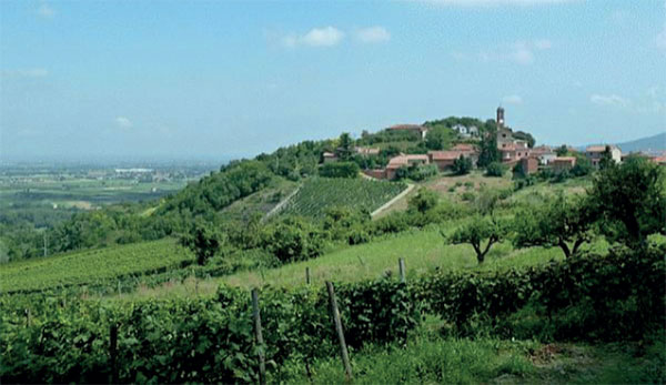 Monleale e i vigneti di timorasso