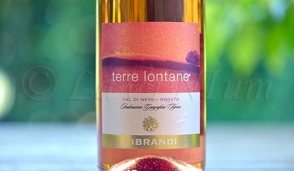 Terre Lontane Rosato 2018 Librandi