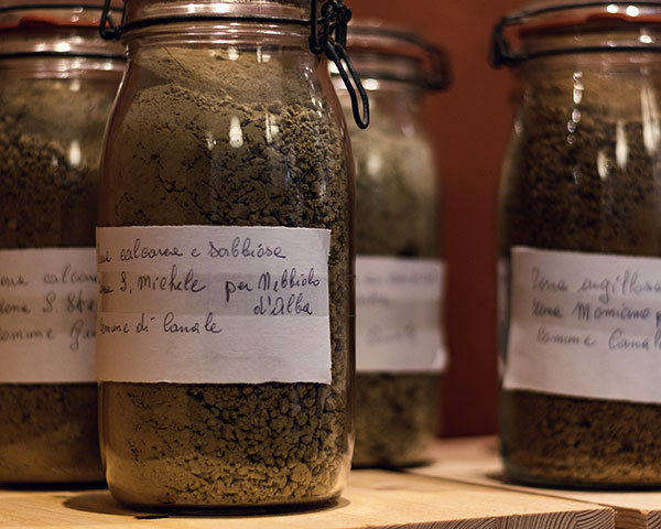 I suoli che caratterizzano le vigne