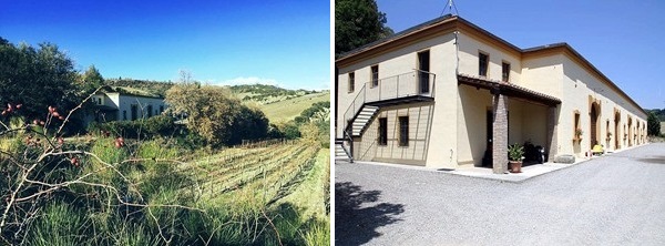 La cantina in stile ottocentesco costruita in linea e seminascosta