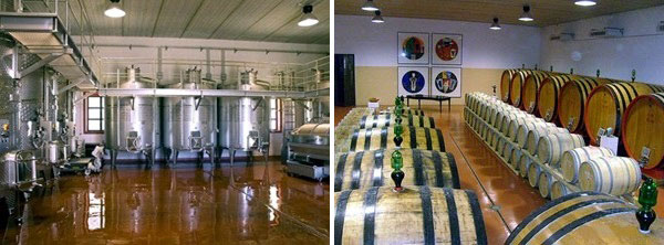 Gli interni della cantina progettata da Carlo Vittori