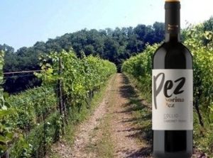 Collio Cabernet Franc 2016 Norina Pez
