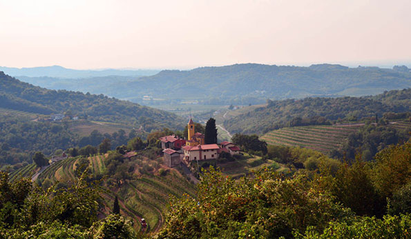 Tenuta La Ponca