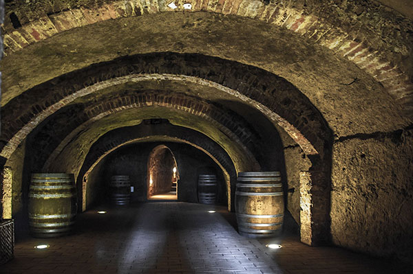 Cantina Usiglian del Vescovo