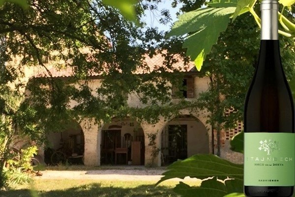 Sauvignon IGP Trevenezie 2018 Borgo Stajnbech