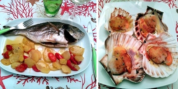 Orata con patate ai pomodorini, capesante all’angostura